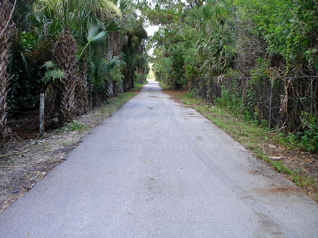 North East Naples Street View